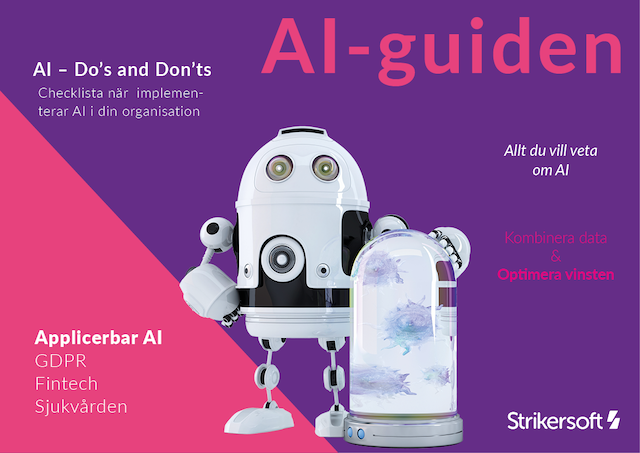 AI Guiden framsida LITEN